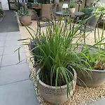 Apartment De Böhn *