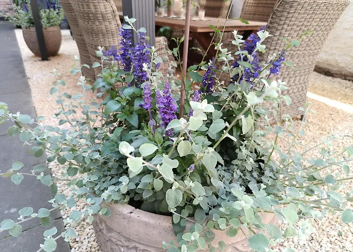 De Boehn アパート