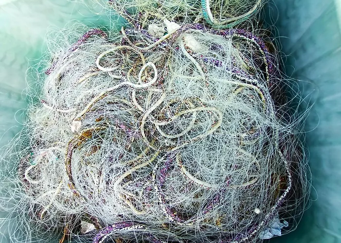 De Boehn リューベック